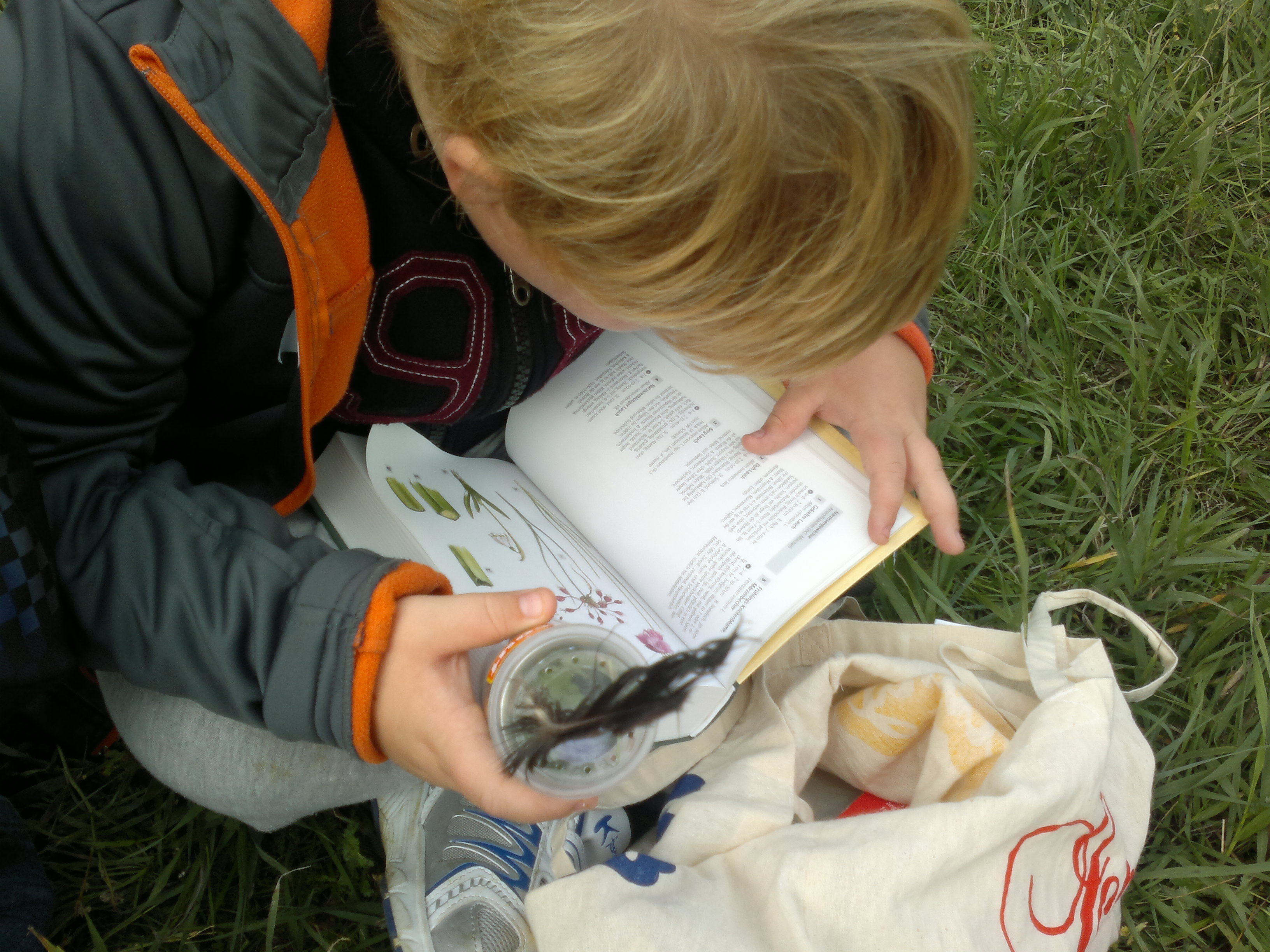 Kind sitzt in der Wiese und liest Pflanzenbuch