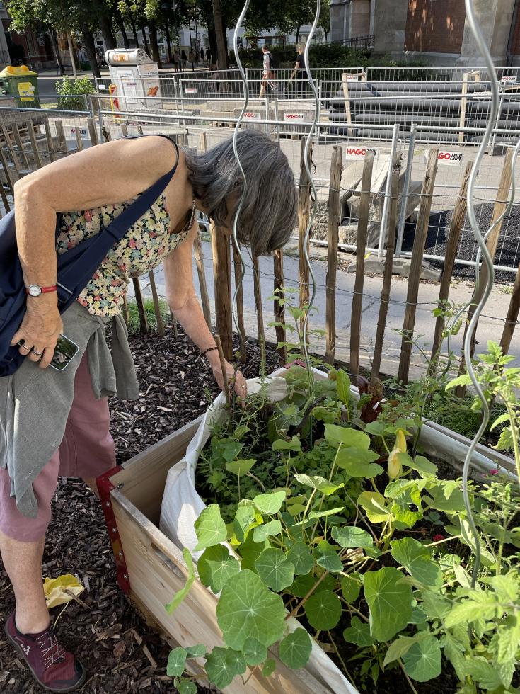 Beet am Elisabethplatz